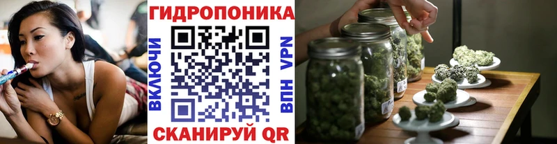 Магазин наркотиков Николаевск Кокаин  Мефедрон  ГАШ  блэк спрут вход  Каннабис  Галлюциногенные грибы 