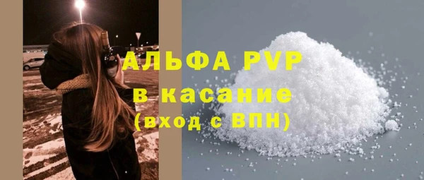 хмурый Алексин