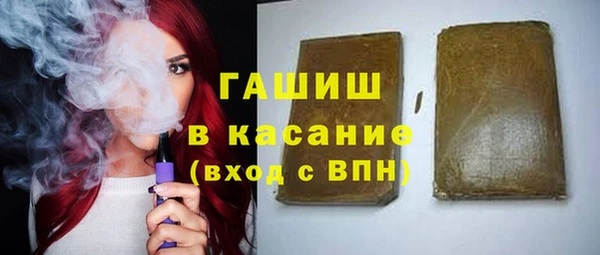 хмурый Алексин