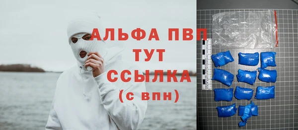 хмурый Алексин