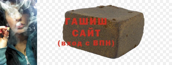 хмурый Алексин