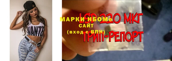 хмурый Алексин
