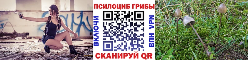 Галлюциногенные грибы MAGIC MUSHROOMS  наркота  Николаевск 
